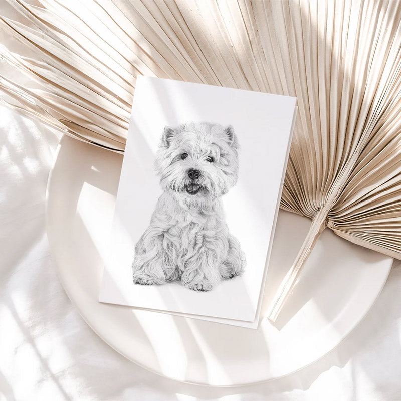 Vykort - West Highland White Terrier