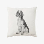 Kuddfodral 100% lin - Welsh Springer Spaniel