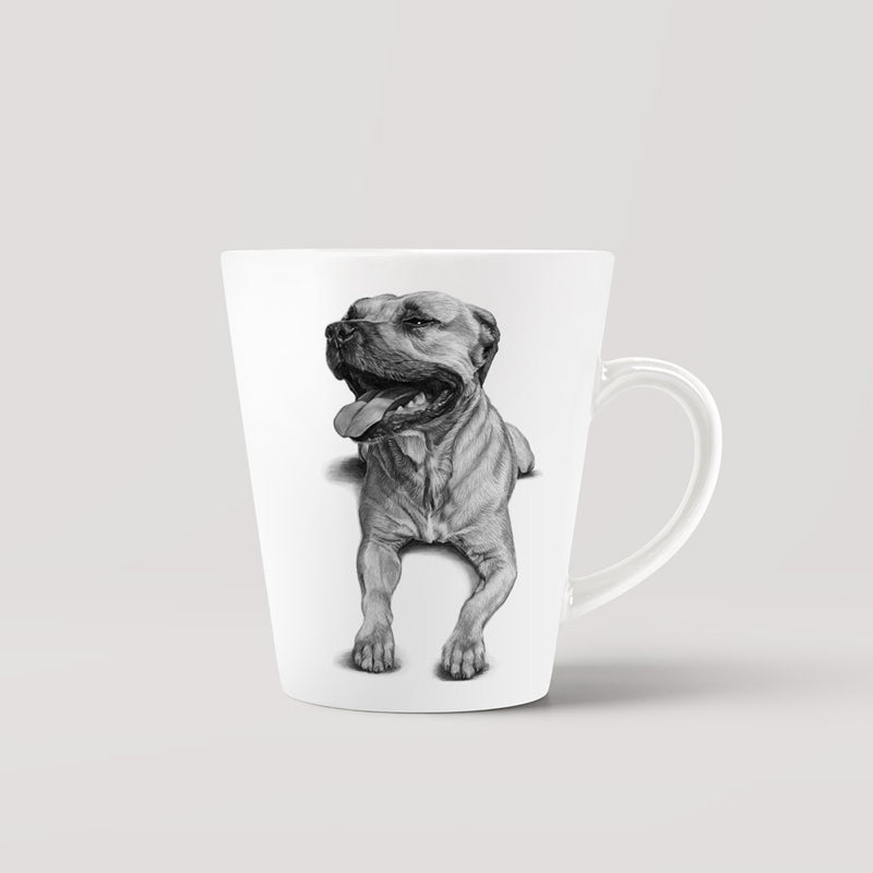 Mugg - American Staffordshire Terrier