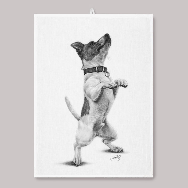 Kökshandduk - Jack Russell Terrier