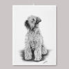 Kökshandduk - Irish Soft Coated Wheaten Terrier