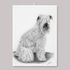 Kökshandduk - Irish Soft Coated Wheaten Terrier