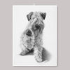 Linnehandduk - Irish Soft Coated Wheaten Terrier