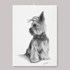 Linnehandduk - Yorkshire Terrier