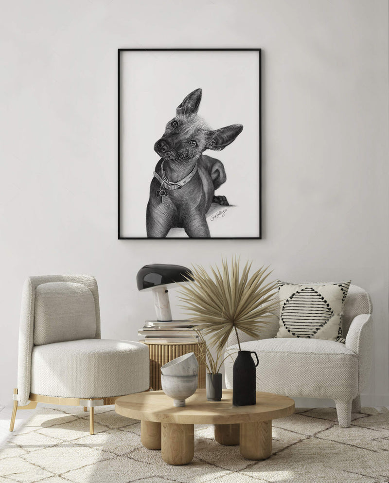Poster - Xoloitzcuintle / Mexikansk Nakenhund