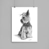 Poster - Yorkshire Terrier