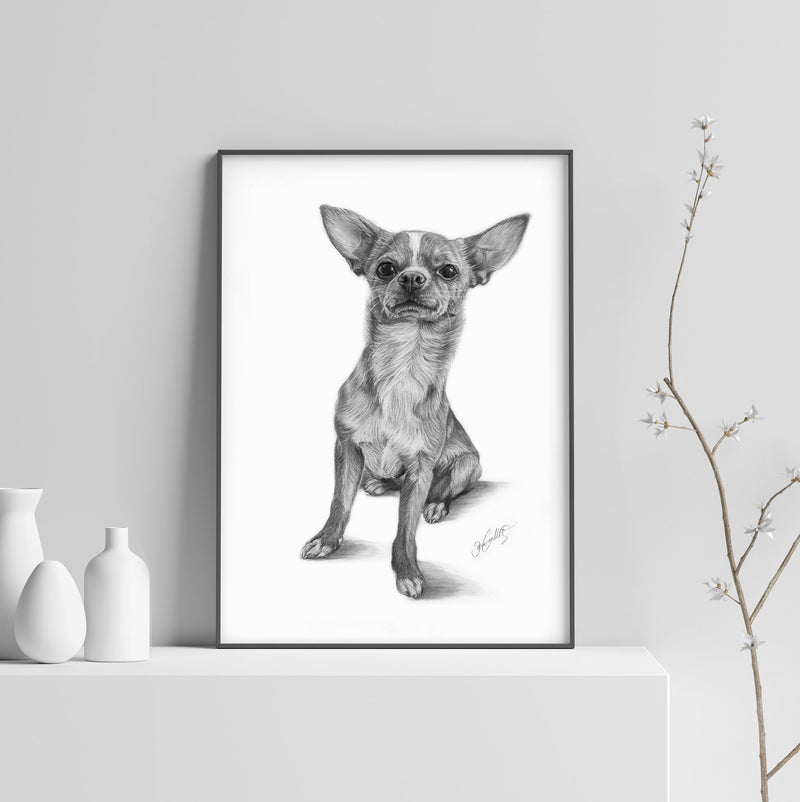 Poster - Chihuahua