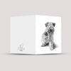 Vykort - Irish Soft Coated Wheaten Terrier
